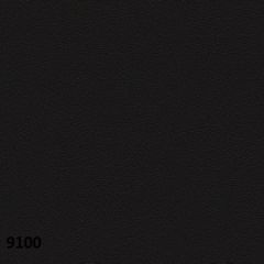Диван двухместный Актив экокожа Euroline (9100 черный) в Нижневартовске - nizhnevartovsk.mebel24.online | фото 4