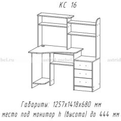 Компьютерный стол №16 (Анкор темныйанкор темный) в Нижневартовске - nizhnevartovsk.mebel24.online | фото