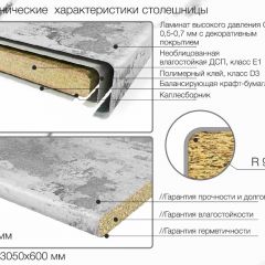 Кухонный фартук со столешницей (А-06) в едином стиле (3050 мм) в Нижневартовске - nizhnevartovsk.mebel24.online | фото 6