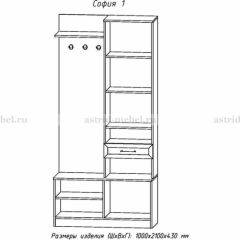 Прихожая София 1 в Нижневартовске - nizhnevartovsk.mebel24.online | фото 3