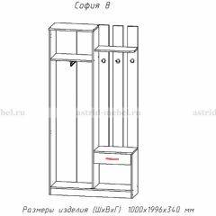 Прихожая София 8 в Нижневартовске - nizhnevartovsk.mebel24.online | фото 2