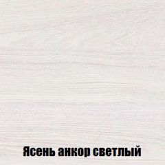Шкаф 2-х створчатый МСП-1 (Ясень Анкор светлый) в Нижневартовске - nizhnevartovsk.mebel24.online | фото 4