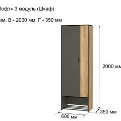 ОЛЬГА-ЛОФТ 3 Шкаф 2-х створчатый в Нижневартовске - nizhnevartovsk.mebel24.online | фото 4