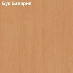 Шкаф для документов низкий Логика Л-11.1 в Нижневартовске - nizhnevartovsk.mebel24.online | фото 2