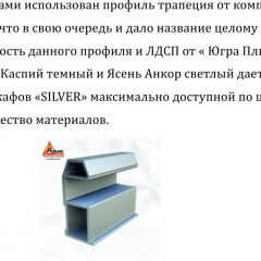 Шкаф-купе 1500 серии SILVER S1+S1+B2+PL2 (2 ящика+1 штанга+1 полка) профиль «Серебро» в Нижневартовске - nizhnevartovsk.mebel24.online | фото 4