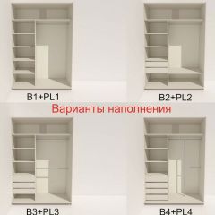 Шкаф-купе 1600 серии SOFT D6+D4+B2+PL2 (2 ящика+1штанга+1 полка) профиль «Капучино» в Нижневартовске - nizhnevartovsk.mebel24.online | фото 7