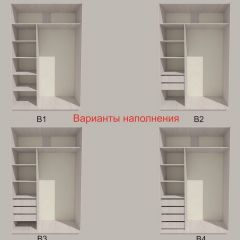 Шкаф-купе 1700 серии SILVER S1+S1+B2+PL2 (2 ящика+1 штанга+1 полка) профиль «Серебро» в Нижневартовске - nizhnevartovsk.mebel24.online | фото 5