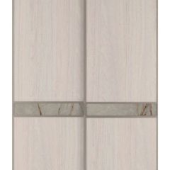 Шкаф-купе 1700 серии SILVER S1+S1+B2+PL2 (2 ящика+1 штанга+1 полка) профиль «Серебро» в Нижневартовске - nizhnevartovsk.mebel24.online | фото 10