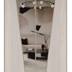 Шкаф-купе 1700 серии SILVER S1+S1+B2+PL2 (2 ящика+1 штанга+1 полка) профиль «Серебро» в Нижневартовске - nizhnevartovsk.mebel24.online | фото 12