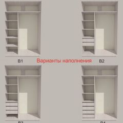Шкаф-купе 1700 серии SILVER S3+S4+B2+PL4 (2 ящика+F обр.штанга) профиль «Серебро» в Нижневартовске - nizhnevartovsk.mebel24.online | фото 5