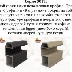 Шкаф-купе 2100 серии SOFT D4+D4+D4+B22+PL1 (по 2 ящика лев/прав+1штанга) профиль «Графит» в Нижневартовске - nizhnevartovsk.mebel24.online | фото 12