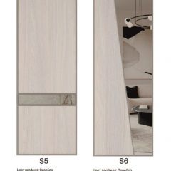 Шкаф-купе 2250 серии SILVER S5+S1+S5 B22+PL2 (по 2 ящика лев/прав+1 штанга+1 полка) профиль «Серебро» в Нижневартовске - nizhnevartovsk.mebel24.online | фото 13