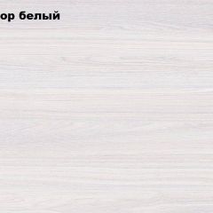 АЛЬЯНС 18 Шкаф-купе + комплект зеркал №4 в Нижневартовске - nizhnevartovsk.mebel24.online | фото 4