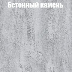 Шкаф-купе Бассо 1.0 (Дуб Крафт серый/Бетонный камень) 2 двери ЛДСП в Нижневартовске - nizhnevartovsk.mebel24.online | фото 3