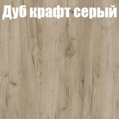 Шкаф-купе Бассо 1.0 (Дуб Крафт серый/Бетонный камень) 2 двери ЛДСП в Нижневартовске - nizhnevartovsk.mebel24.online | фото 4