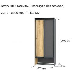 ОЛЬГА-ЛОФТ 10.1 Шкаф-купе без зеркала в Нижневартовске - nizhnevartovsk.mebel24.online | фото 3