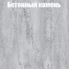 Шкаф-купе Эдем 1.5 (Дуб Крафт серый/Бетонный камень) двери ЛДСП вставка зеркало в Нижневартовске - nizhnevartovsk.mebel24.online | фото 3