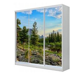 Шкаф-купе ХИТ 22-20/2-777 (620) в Нижневартовске - nizhnevartovsk.mebel24.online | фото