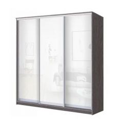 Шкаф-купе ХИТ 24-20-888 (620) в Нижневартовске - nizhnevartovsk.mebel24.online | фото 9