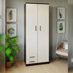 Шкаф распашной ПШ-3.9 в Нижневартовске - nizhnevartovsk.mebel24.online | фото 3