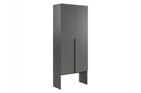 БАСКО Шкаф двухдверный L800 (графит) в Нижневартовске - nizhnevartovsk.mebel24.online | фото