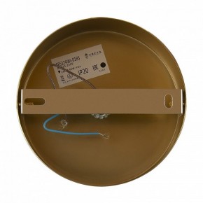 Бра Freya Zelda FR5124WL-01BS в Нижневартовске - nizhnevartovsk.mebel24.online | фото 6