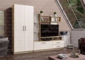 ДАРЬЯ Гостиная (Крафт серый/Крафт белый) в Нижневартовске - nizhnevartovsk.mebel24.online | фото