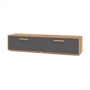 ФЛОРИДА Ф31 Тумба ТВ (дуб золотой/графит) в Нижневартовске - nizhnevartovsk.mebel24.online | фото