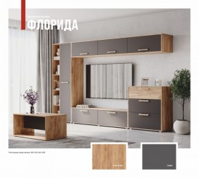 ФЛОРИДА Гостиная (модульная) дуб золотой/графит в Нижневартовске - nizhnevartovsk.mebel24.online | фото