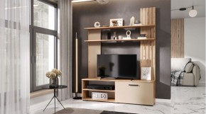 КАРОЛИНА Гостиная (дуб вотан/кашемир) в Нижневартовске - nizhnevartovsk.mebel24.online | фото