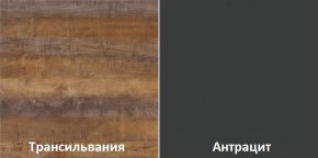 Кухонный гарнитур угловой Трансильвания 2600х1600 мм (Стол. 26 мм) в Нижневартовске - nizhnevartovsk.mebel24.online | фото 3