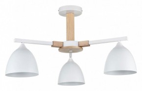 Люстра на штанге Lumion Colange 8095/3C в Нижневартовске - nizhnevartovsk.mebel24.online | фото