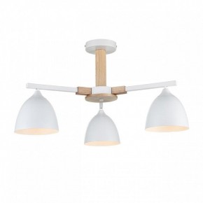 Люстра на штанге Lumion Colange 8095/3C в Нижневартовске - nizhnevartovsk.mebel24.online | фото 2
