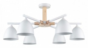 Люстра на штанге Lumion Colange 8095/6C в Нижневартовске - nizhnevartovsk.mebel24.online | фото