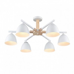 Люстра на штанге Lumion Colange 8095/6C в Нижневартовске - nizhnevartovsk.mebel24.online | фото 3