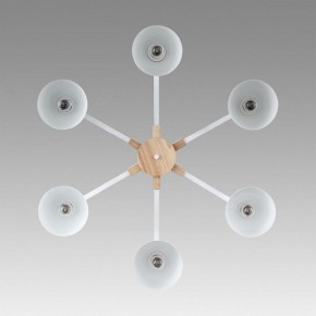 Люстра на штанге Lumion Colange 8095/6C в Нижневартовске - nizhnevartovsk.mebel24.online | фото 4
