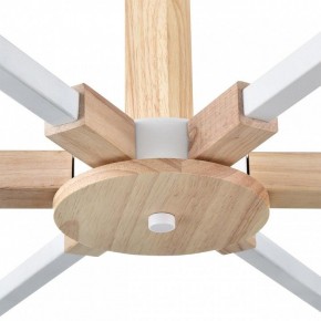 Люстра на штанге Lumion Colange 8095/6C в Нижневартовске - nizhnevartovsk.mebel24.online | фото 7