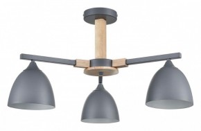 Люстра на штанге Lumion Colange 8096/3C в Нижневартовске - nizhnevartovsk.mebel24.online | фото