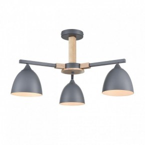 Люстра на штанге Lumion Colange 8096/3C в Нижневартовске - nizhnevartovsk.mebel24.online | фото 2