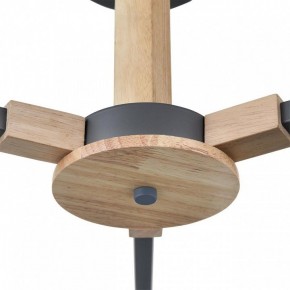 Люстра на штанге Lumion Colange 8096/3C в Нижневартовске - nizhnevartovsk.mebel24.online | фото 7