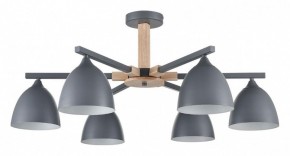 Люстра на штанге Lumion Colange 8096/6C в Нижневартовске - nizhnevartovsk.mebel24.online | фото