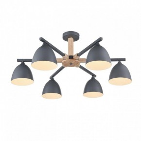 Люстра на штанге Lumion Colange 8096/6C в Нижневартовске - nizhnevartovsk.mebel24.online | фото 3