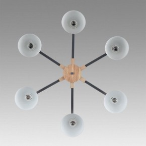 Люстра на штанге Lumion Colange 8096/6C в Нижневартовске - nizhnevartovsk.mebel24.online | фото 4