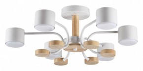 Люстра на штанге Lumion Rondo 8231/6C в Нижневартовске - nizhnevartovsk.mebel24.online | фото