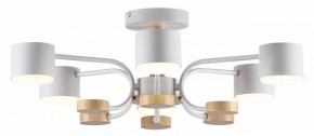 Люстра на штанге Lumion Rondo 8231/6C в Нижневартовске - nizhnevartovsk.mebel24.online | фото 2
