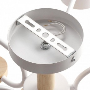 Люстра на штанге Lumion Rondo 8231/6C в Нижневартовске - nizhnevartovsk.mebel24.online | фото 6