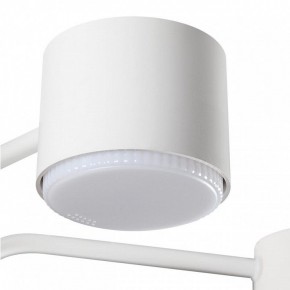 Люстра на штанге Lumion Rondo 8231/6C в Нижневартовске - nizhnevartovsk.mebel24.online | фото 7