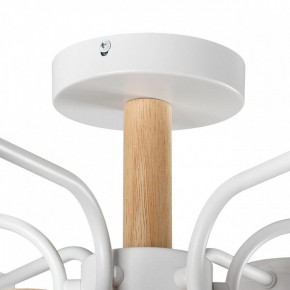 Люстра на штанге Lumion Rondo 8231/6C в Нижневартовске - nizhnevartovsk.mebel24.online | фото 8