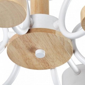 Люстра на штанге Lumion Rondo 8231/6C в Нижневартовске - nizhnevartovsk.mebel24.online | фото 9