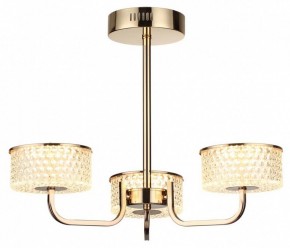 Люстра на штанге Lumion Venice 6579/40CL в Нижневартовске - nizhnevartovsk.mebel24.online | фото 5